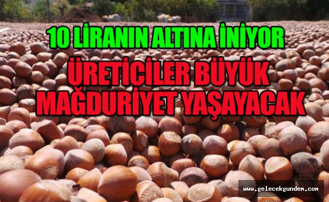 Fındık üreticisine serbest piyasa şoku! Fiyatlar düştükçe düşüyor