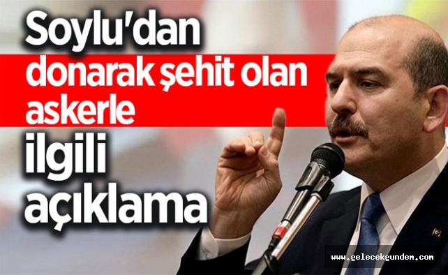 Soylu'dan şehit olan askerlerle ilgili açıklama