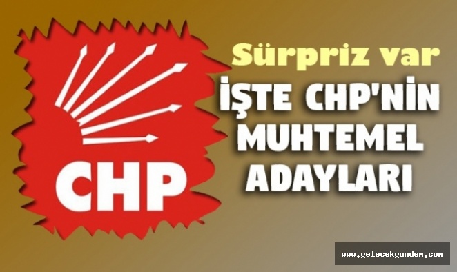 CHP'nin İstanbul ve ilçe adayları !!