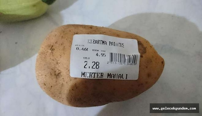 Tane tane anlattık! Bir domates 1,5 Lira, bir patates 2.3 Lira