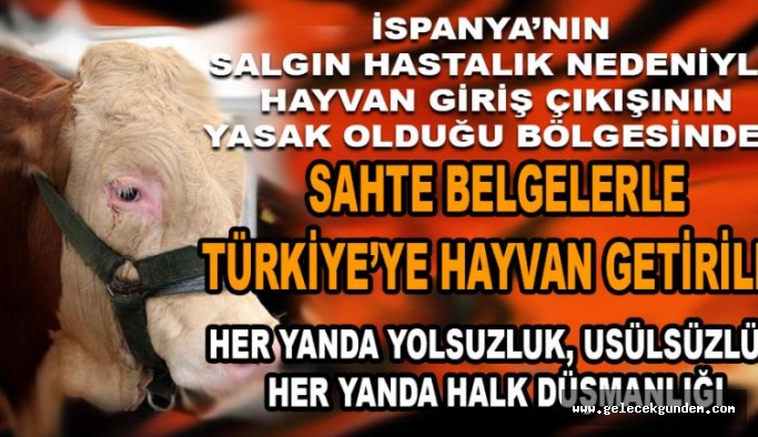 2 bin 939 besilik canlı hayvanın veteriner sertifikalarının ‘sahte’ olduğu ortaya çıktı