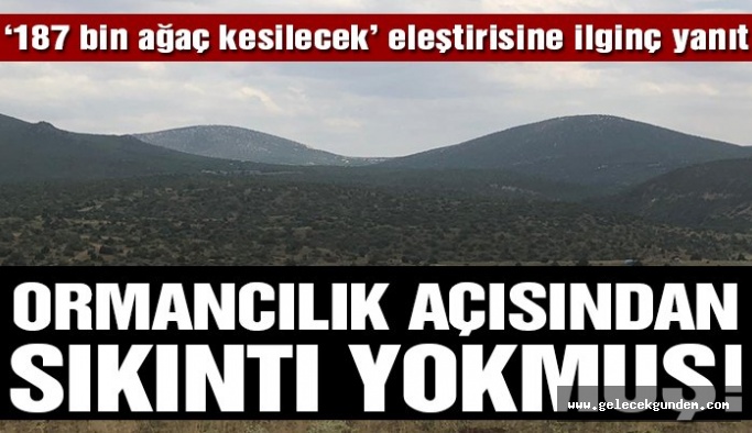 Eskişehir’de 187 bin 225 ağacın kesileceği proje için tartışılan rapor