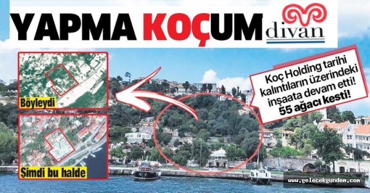 Besiktas Ta Kurul Durdurdu Koc Holding Umursamadi Tarihi Alanda 14 Turde 55 Agac Kestiler