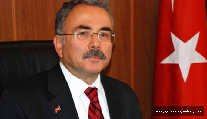 Barınağı su bastı, köpeklerin hali içler acısı