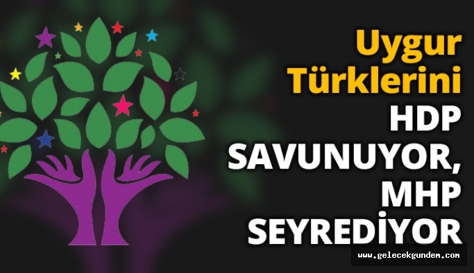 Uygur Türklerini HDP SAVUNUYOR, MHP SEYREDİYOR