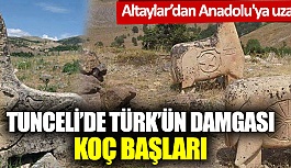 Altaylar'dan Anadolu'ya uzanan...