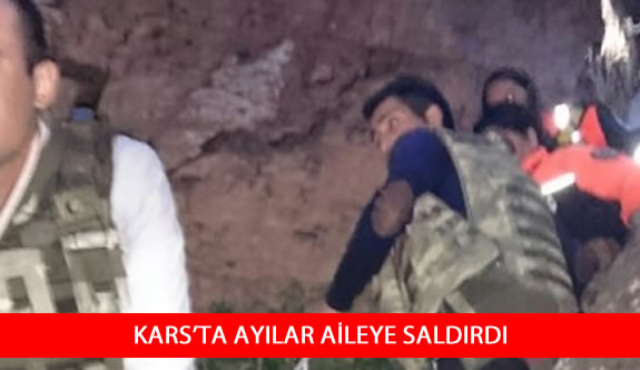 Kars'ta ayılar aileye saldırdı: 2 ölü, 2 yaralı