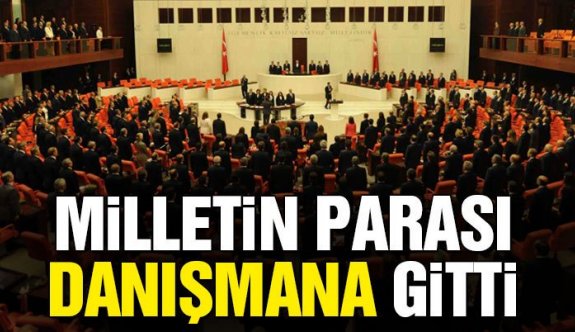 Vekil danışmanlarının vatandaşa 1 yıllık faturası 160 milyon lira