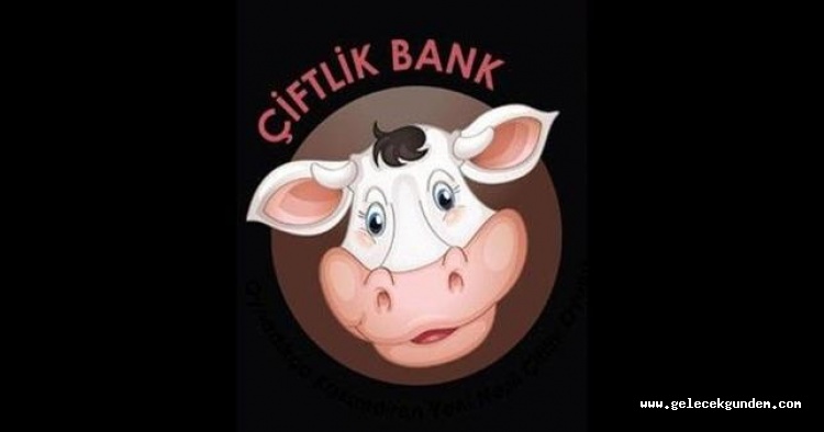 Bakanlık Çiftlik Bank için harekete geçti