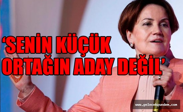 Meral Akşener’den Erdoğan’a yanıt: Küçük ortak aday değil