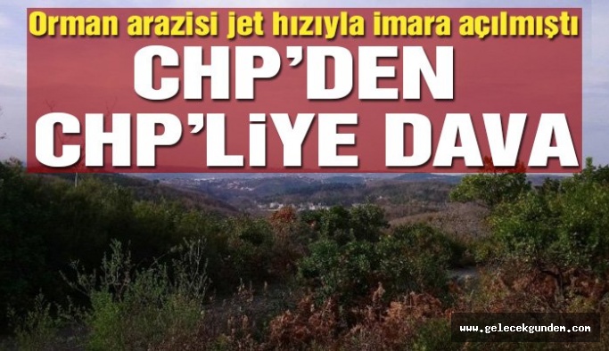 CHP’li meclis üyesinin ormana villa projesine CHP dava açıyor