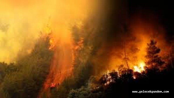 İZMİR'DEKİ YANGINLARIN UZUN SÜRMESİNİN BİR NEDENİ DE YANGIN GÖLETLERİNİN YETERSİZ VE BAKIMSIZ OLUŞU MU?