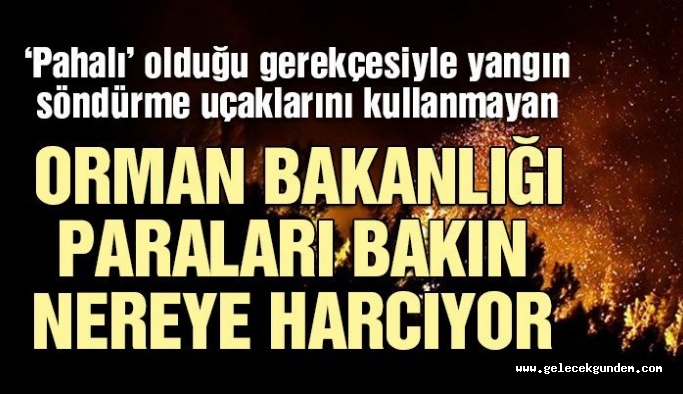 Orman Bakanlığı paraları bunlara harcıyor! Yangın havuzları neden yapılmıyor?