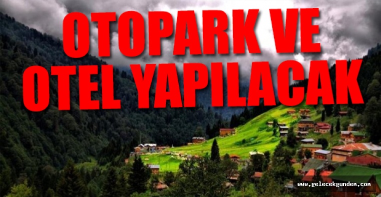 AKP'li vekil açıkladı: Ayder Yaylası'nda otopark ,otel yapılacak!