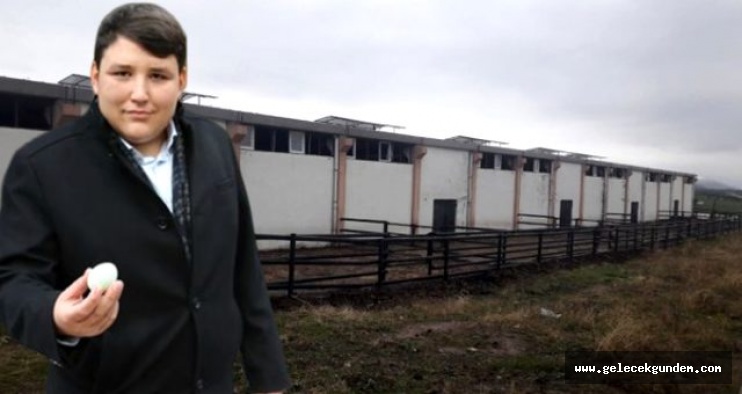 Diyarbakır'da ikinci Çiftlik Bank vakası! 20 milyon liralık vurgun yaptılar