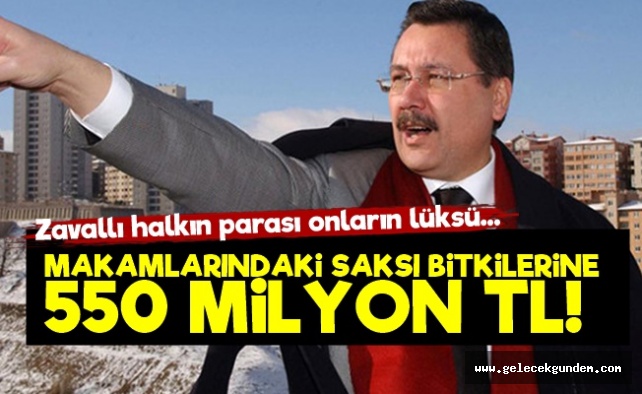 Gökçek döneminde belediyeye odaları süsletmek için 550 milyonluk saksı bitkisi alınmış!