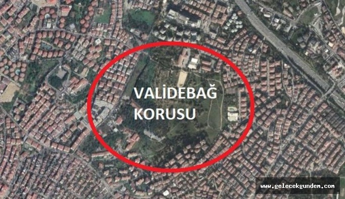 İBB AKP Meclis üyeleri Deprem kentsel dönüşümlerine hayır diyor ama Validebağ Korusu’nun imar planları oy çokluğu ile onaylandı