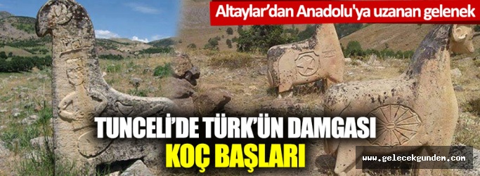 Altaylar'dan Anadolu'ya uzanan gelenek: Tunceli'de Türk'ün damgası; Koç başları