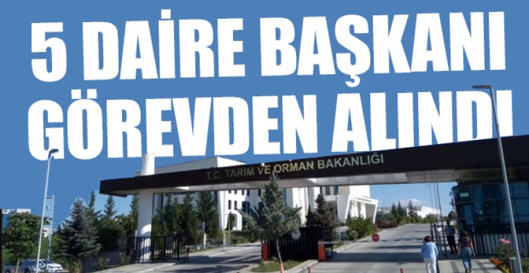 Emine Erdoğan'ın kuzenine verilen 'direk' ihalesi bakanlığı karıştırdı