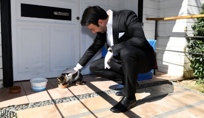 HAYVANSEVERLER BEŞİKTAŞ BELEDİYE BAŞKANI RIZA AKPOLAT'A TEŞEKKÜR ETTİLER