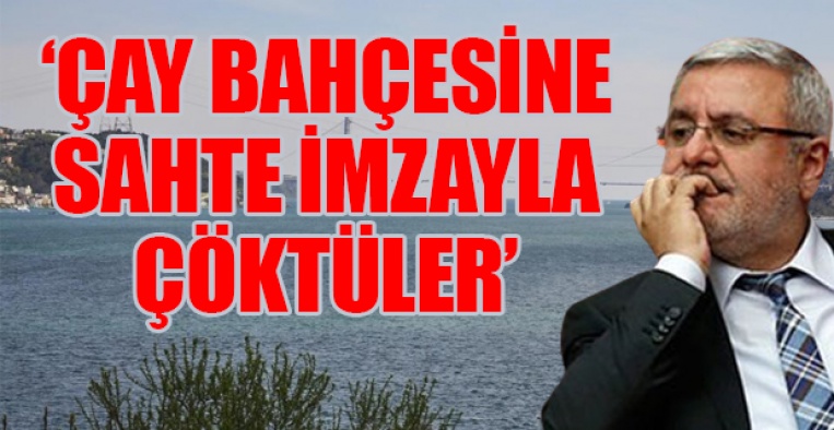 AKP'li Mehmet Metiner'e şok suçlamalar! Çay bahçesine çöktü!