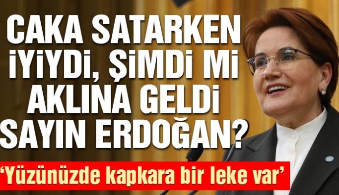 Meral Akşener’den Erdoğan’a corona virüs eleştirisi