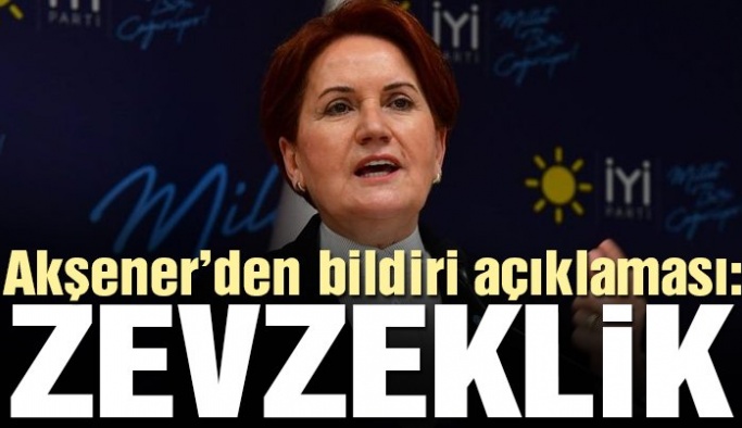 İYİ Parti Genel Başkanı Akşener’den bildiri açıklaması: Bu bir zevzekliktir