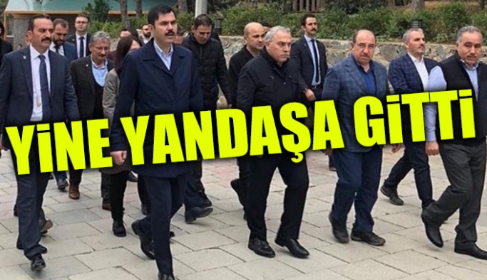 34 ihaleden 175 milyon TL...