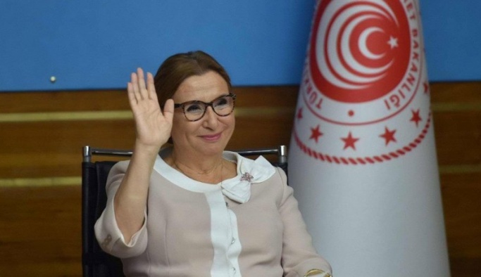 Eski Bakan Ruhsar Pekcan'ın şirketi hakkında skandal yaratacak 'gümrük' detayı