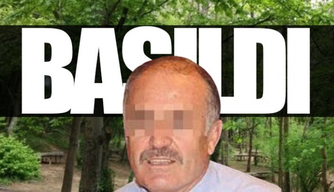 O kaymakam Beykoz ormanlarında sevgilisiyle yakalandı: Emekliliğini istedi