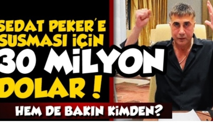 Sedat Peker'e 30 Milyon Dolar 'Sus' Parası