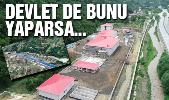 Devlet de bunu yaparsa… Dere yatağına tesis üstüne tesis!