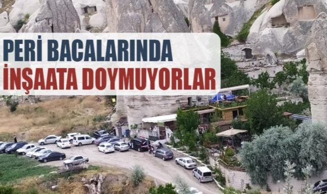 Peri bacalarında katliam! Başkan yıkıyor, oğlu yeniden yapıyor