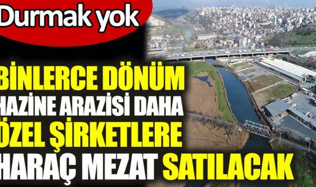 AKP İktidarı Binlerce dönüm Hazine arazisi daha özel şirketlere haraç mezat satacak!