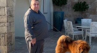  MAFYA İÇİN ÖLÜM LİSTESİ Mİ VAR? SIRA DA KİM VAR ?