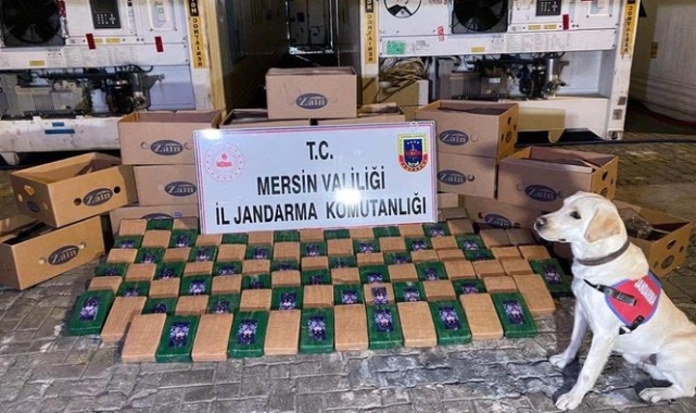 Yine ,Mersin Limanı'nda 258 KG kokain yakalandı