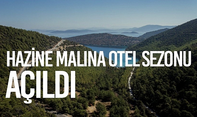 Kamu taşınmazlarının tahsisi için duyuru yayımlandı... Denize sıfır ve Hazine'ye ait ormanlık alanlar şirketlere verilecek