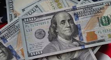 Merkez Bankası'ndan rekor döviz alımı