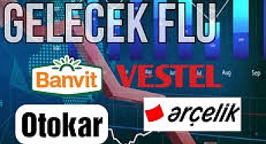 Arçelik, Vestel, Otokar, Banvit zarar açıkladı, borsa neyi fiyatlıyor