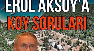 İş insanı Erol Aksoy'un sahip olduğu araziden Kargıcak Koyu'na yol açıp beton döktürdüğü ileri sürüldü