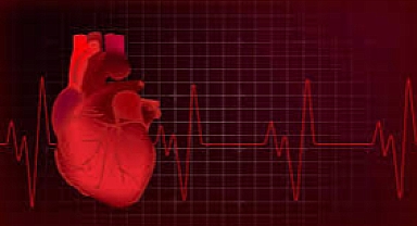 Kalp pilinin yerini alabilecek buluş: Kök hücreden üretildi